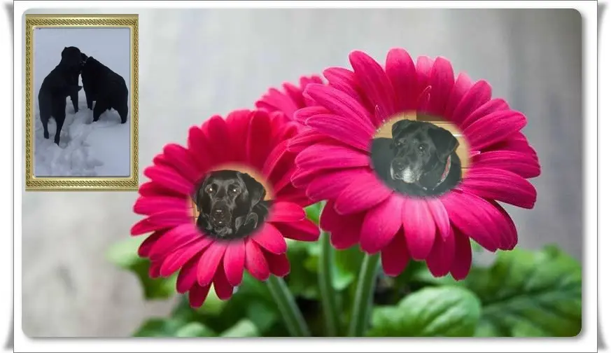 Condolence image of ❤️❤️❤️