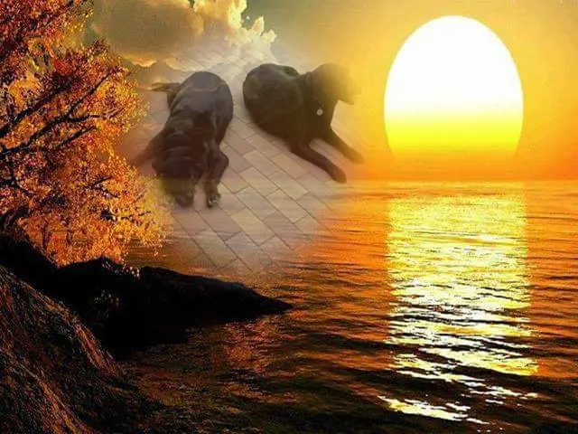 Condolence image of ❤️❤️❤️