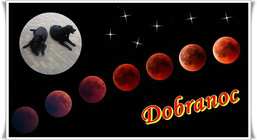 Condolence image of ❤️❤️❤️