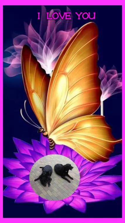 Condolence image of ❤️❤️❤️