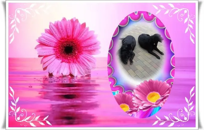 Condolence image of ❤️❤️❤️