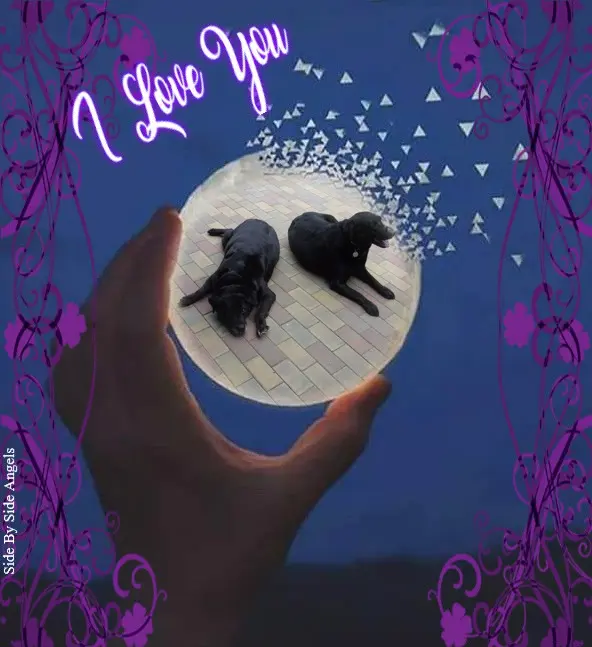 Condolence image of ❤️❤️❤️