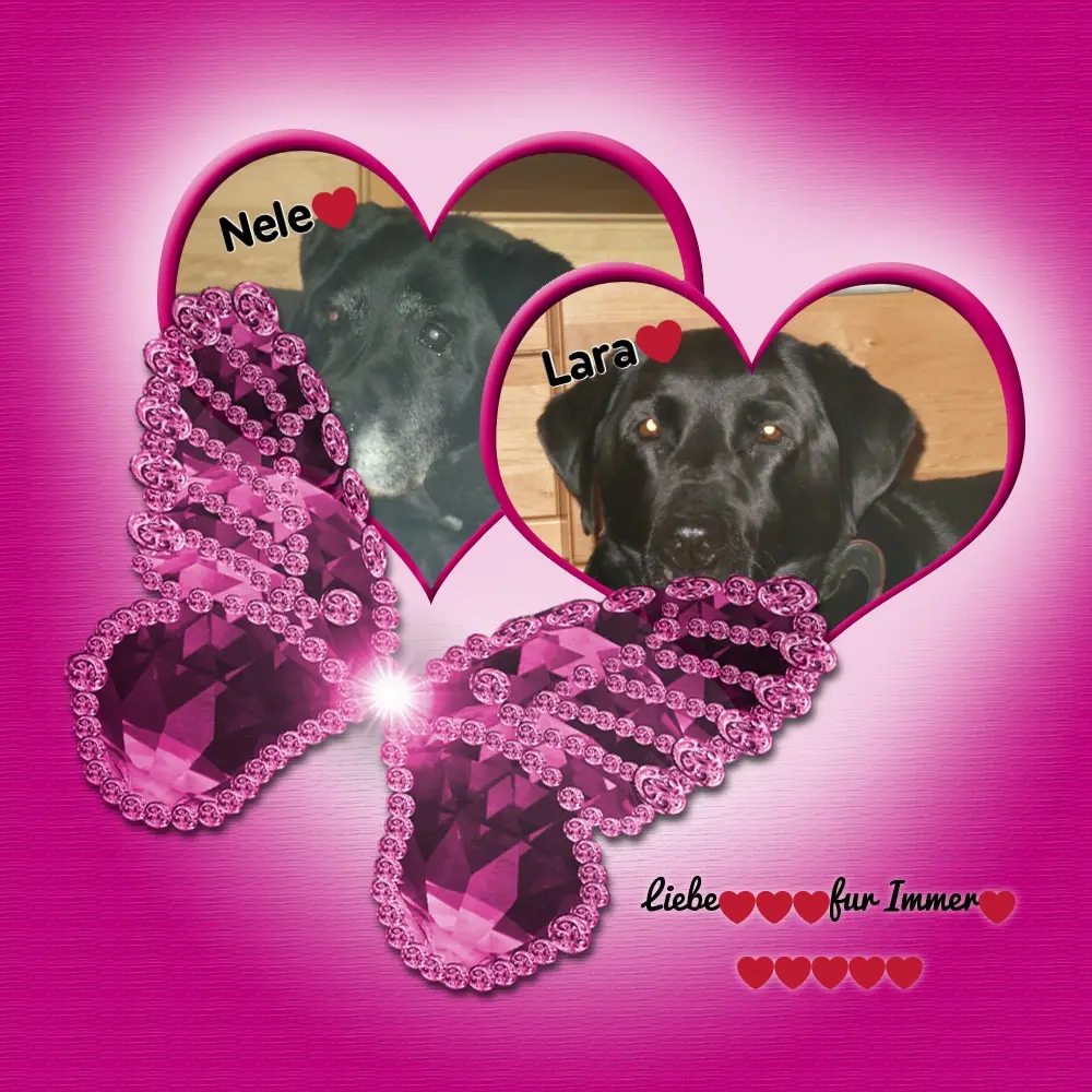 Condolence image of ❤️❤️❤️