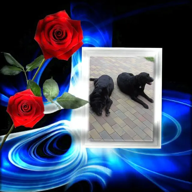 Condolence image of ❤️❤️❤️