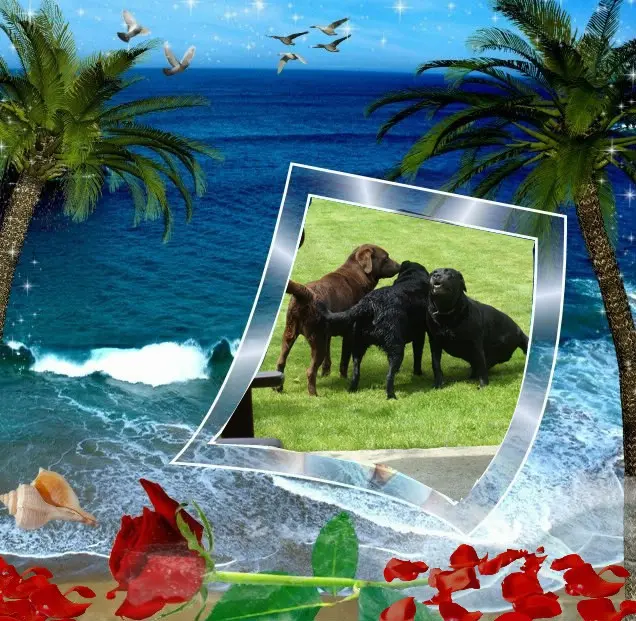 Condolence image of ❤️❤️❤️