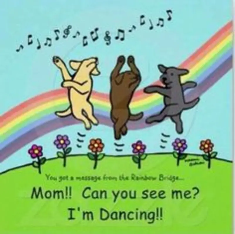 Condolence image of Marika mit Balou und Hippo im Herzen