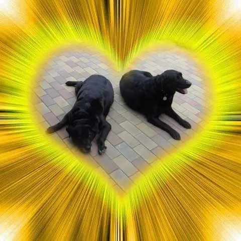 Condolence image of ❤️❤️❤️