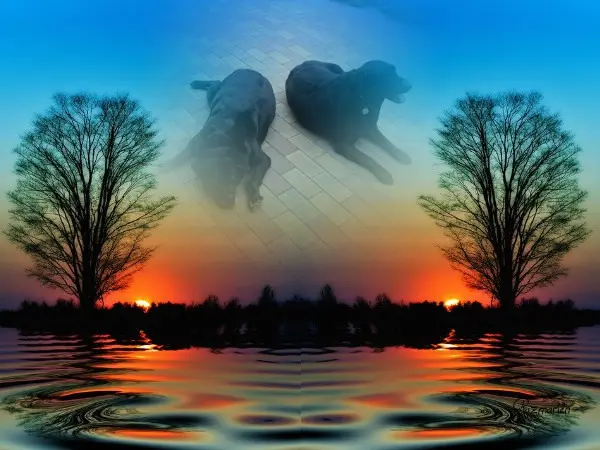 Condolence image of ❤️❤️❤️