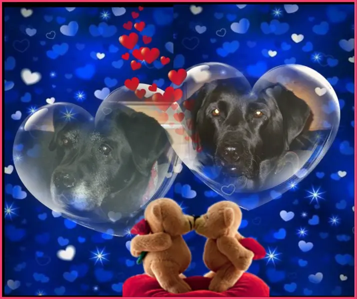 Condolence image of ❤️❤️❤️