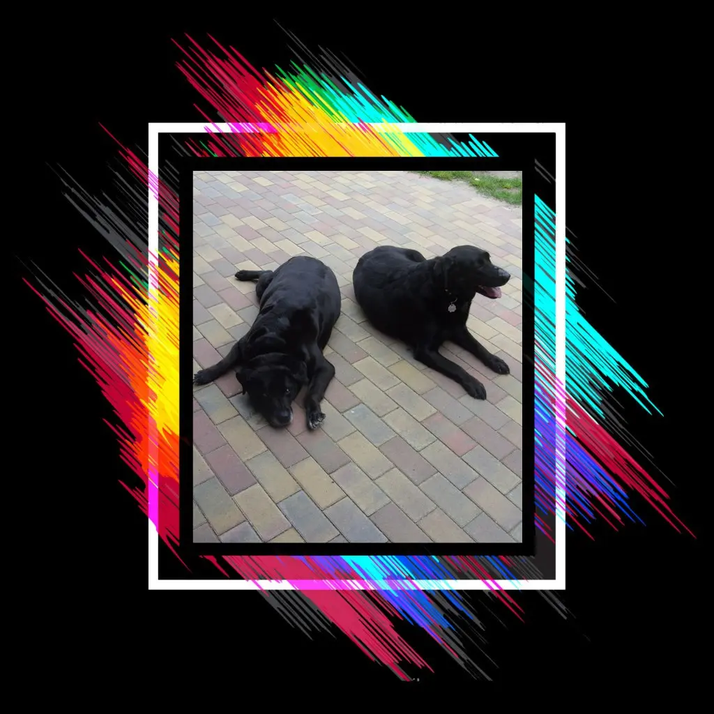 Condolence image of ❤️❤️❤️