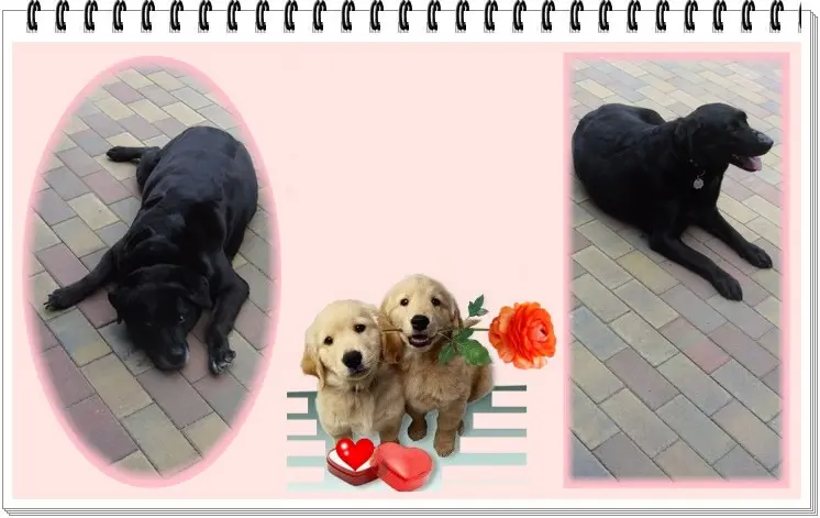 Condolence image of ❤️❤️❤️