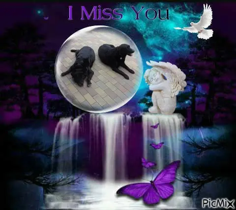 Condolence image of ❤️❤️❤️