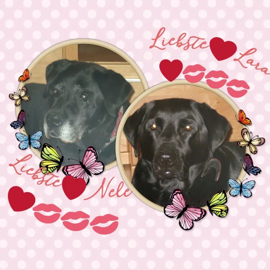 Condolence image of ❤️❤️❤️