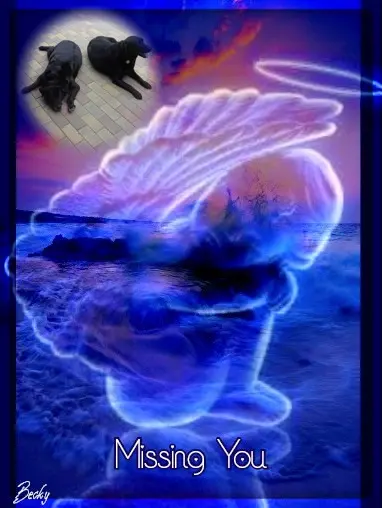 Condolence image of ❤️❤️❤️