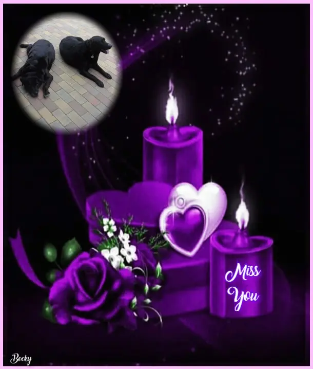 Condolence image of ❤️❤️❤️