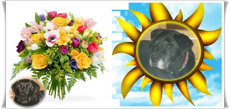 Condolence image of ❤️❤️❤️