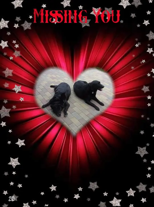 Condolence image of ❤️❤️❤️