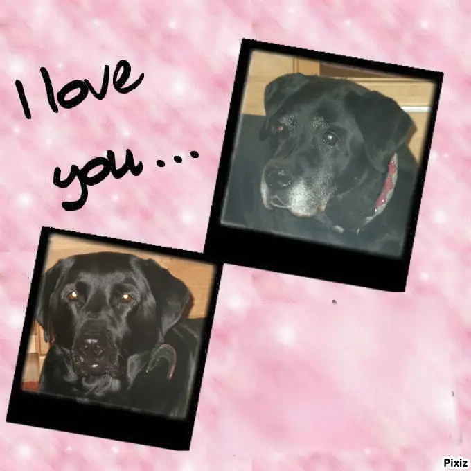 Condolence image of ❤️❤️❤️