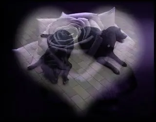 Condolence image of ❤️❤️❤️