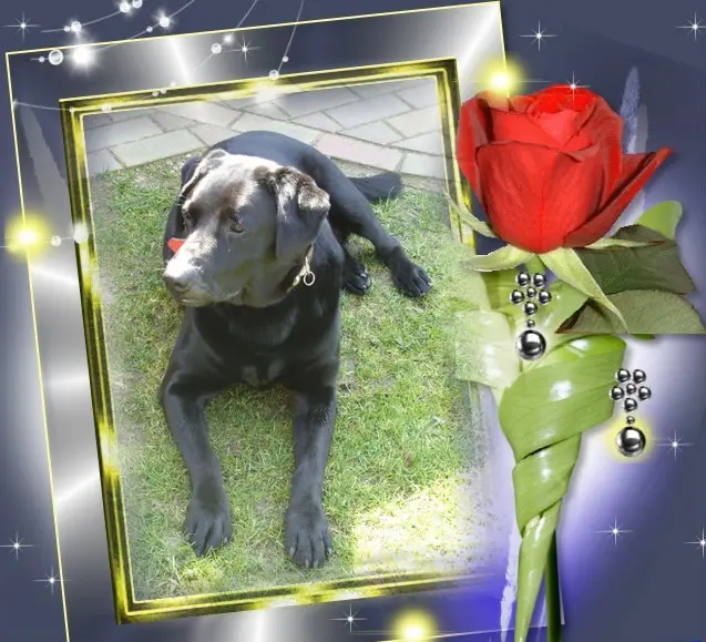 Condolence image of ❤️❤️❤️