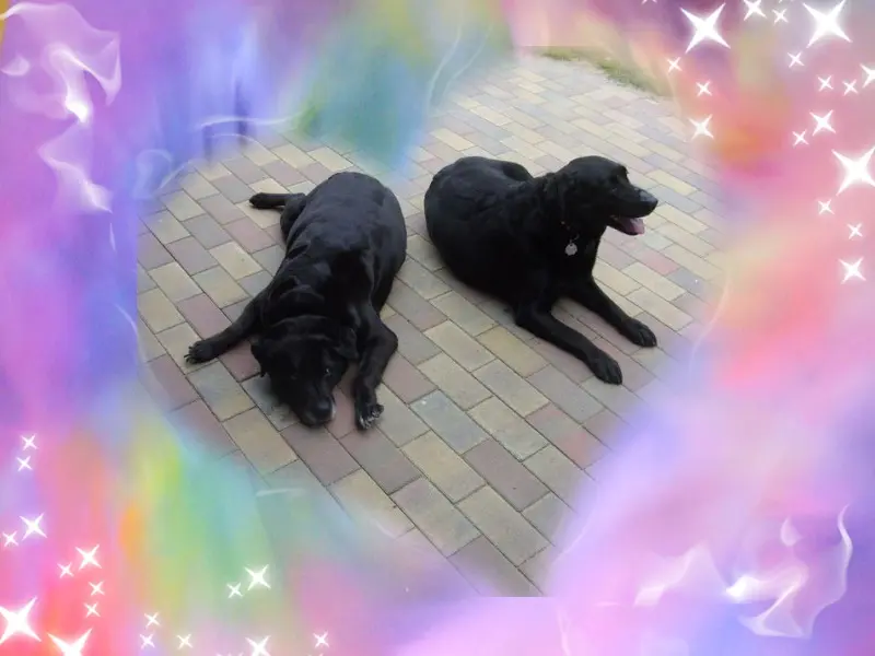 Condolence image of ❤️❤️❤️