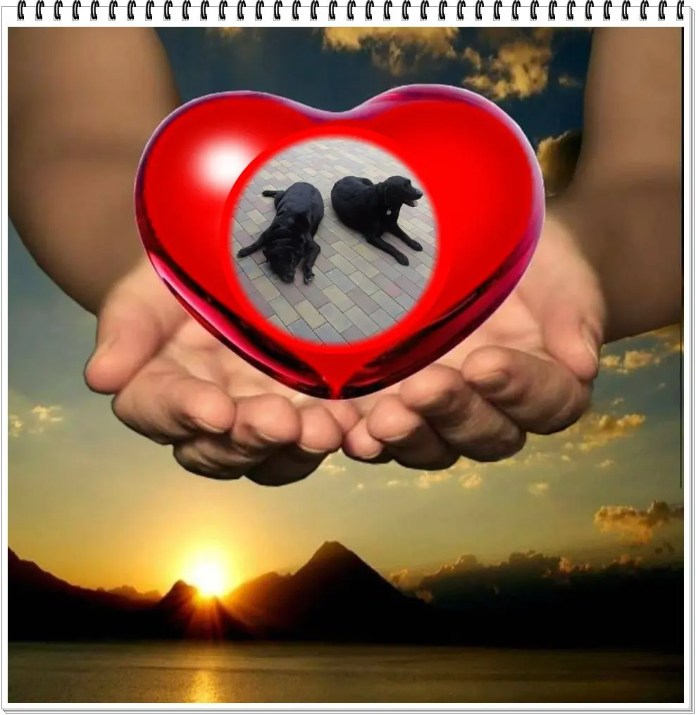 Condolence image of ❤️❤️❤️