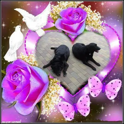 Condolence image of ❤️❤️❤️