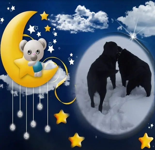 Condolence image of ❤️❤️❤️