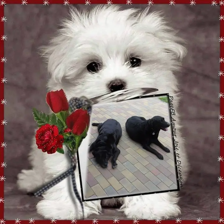 Condolence image of ❤️❤️❤️