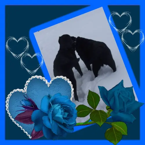 Condolence image of ❤️❤️❤️