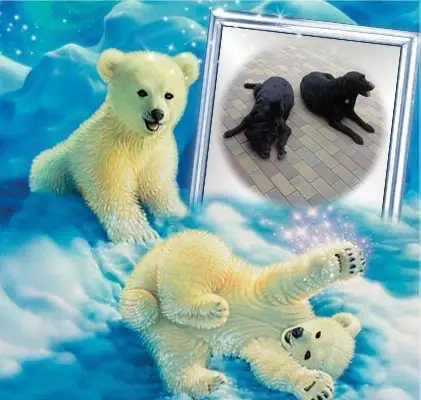 Condolence image of ❤️❤️❤️