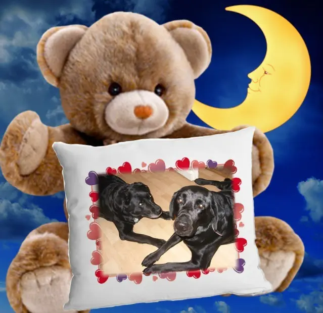 Condolence image of ❤️❤️❤️