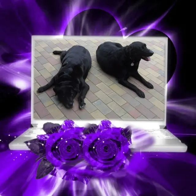 Condolence image of ❤️❤️❤️