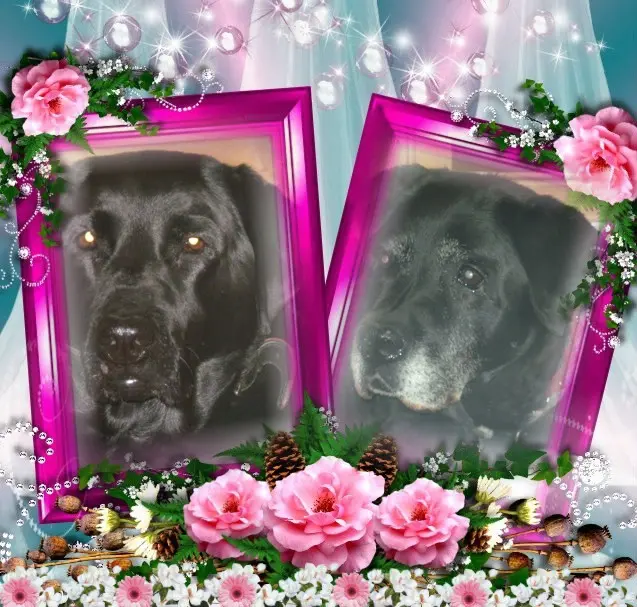 Condolence image of ❤️❤️❤️