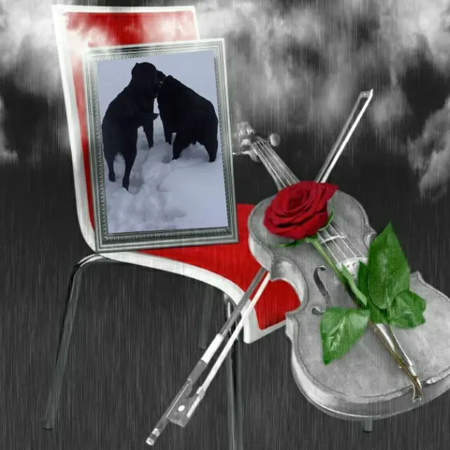 Condolence image of ❤️❤️❤️