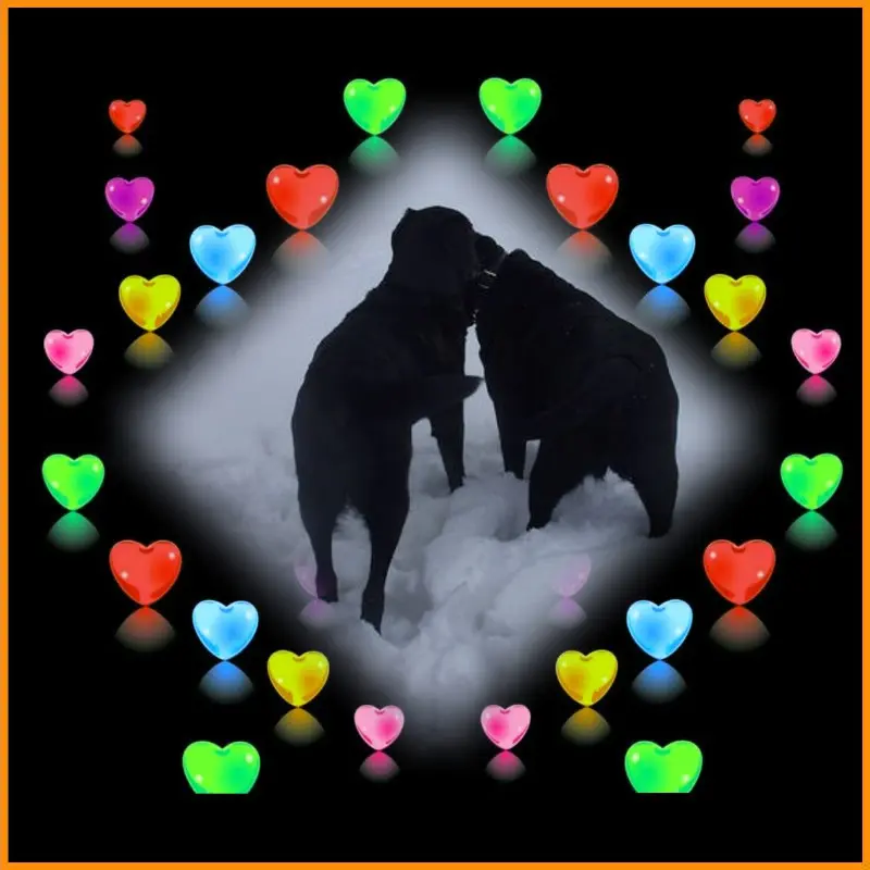 Condolence image of ❤️❤️❤️