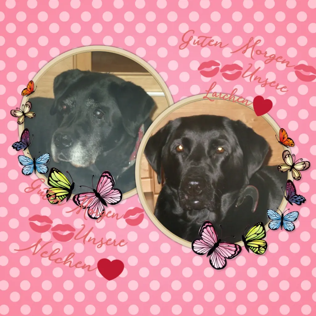 Andachtsbild von ❤️❤️❤️