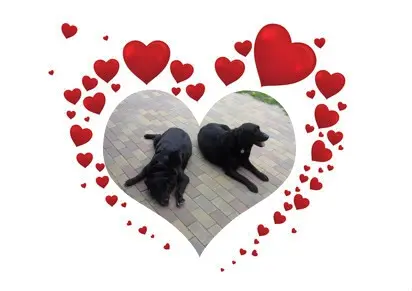 Andachtsbild von ❤️❤️❤️