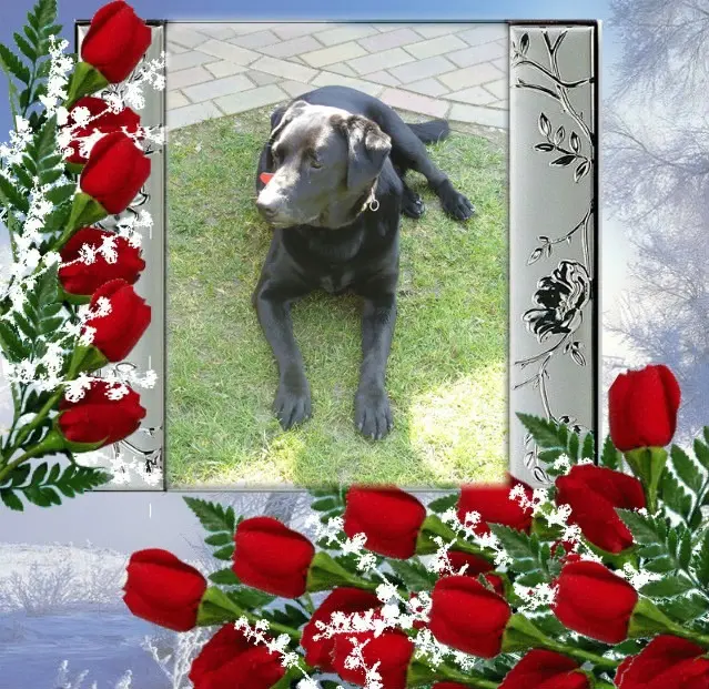 Andachtsbild von ❤️❤️❤️