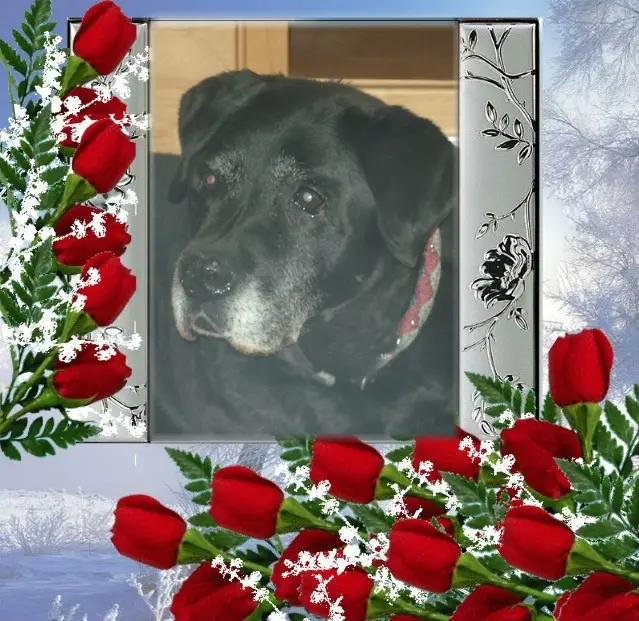 Andachtsbild von ❤️❤️❤️