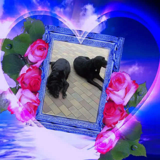 Condolence image of ❤️❤️❤️