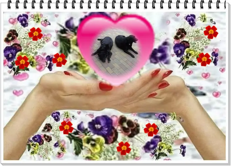 Condolence image of ❤️❤️❤️