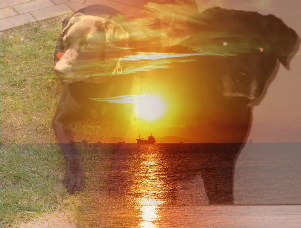 Condolence image of ❤️❤️❤️