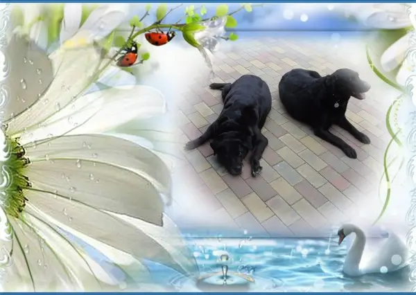 Condolence image of ❤️❤️❤️