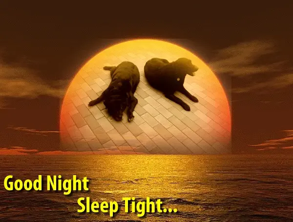 Condolence image of ❤️❤️❤️