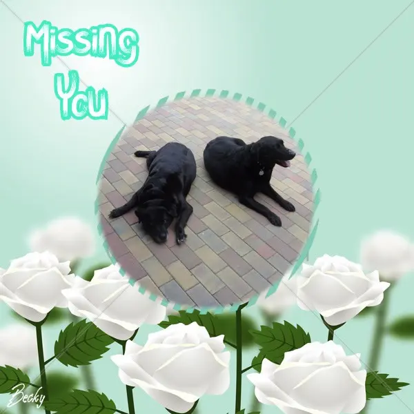 Condolence image of ❤️❤️❤️