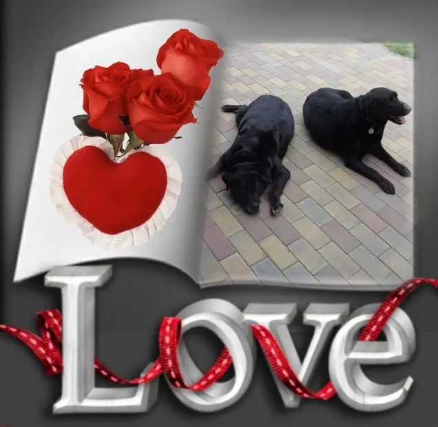 Condolence image of ❤️❤️❤️