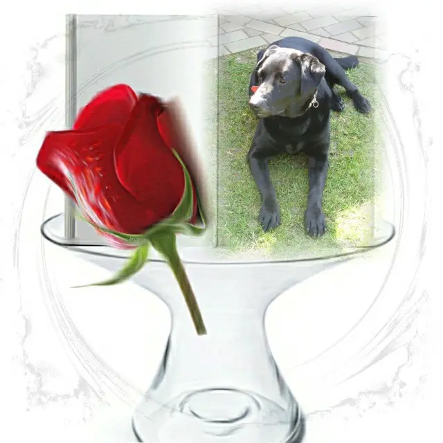 Condolence image of ❤️❤️❤️