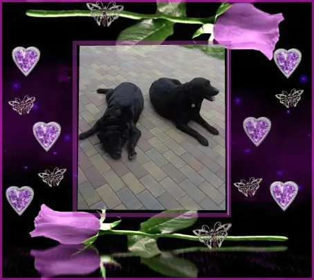 Condolence image of ❤️❤️❤️