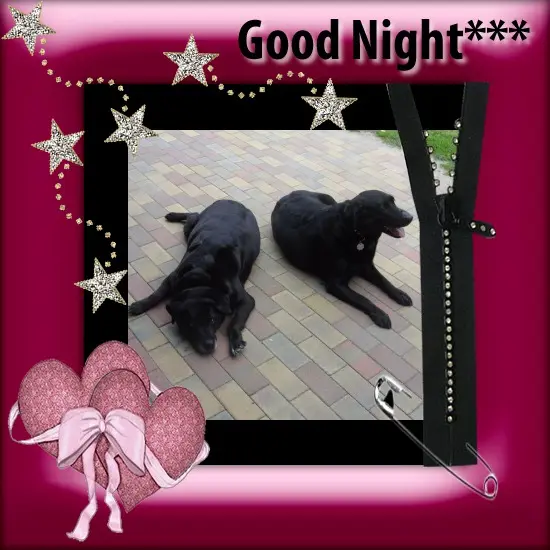 Condolence image of ❤️❤️❤️